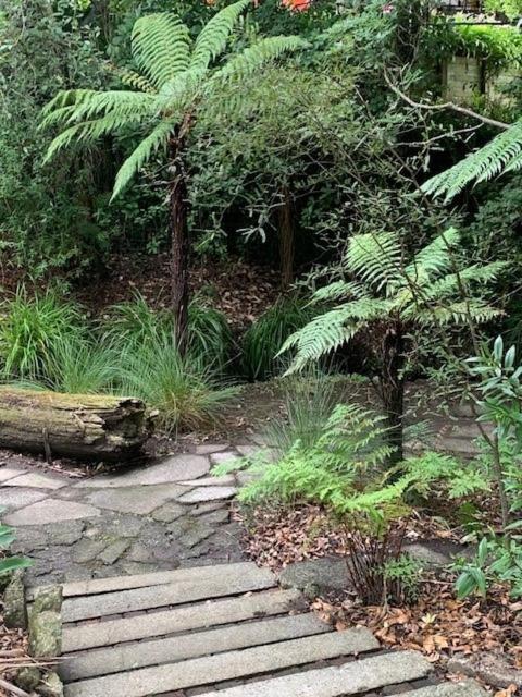 Private Guest Wing - Durie Vale Lodge Whanganui Exterior foto