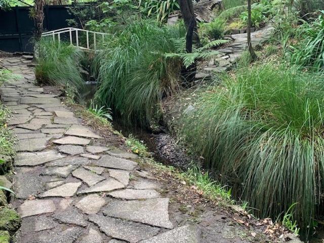 Private Guest Wing - Durie Vale Lodge Whanganui Exterior foto